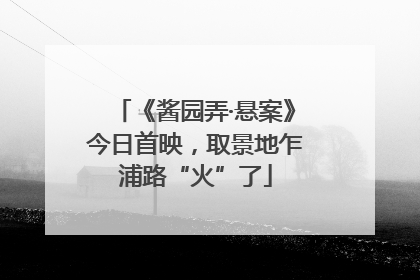 《酱园弄·悬案》今日首映，取景地乍浦路“火”了