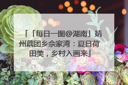 「每日一图@湖南」靖州藕团乡佘家湾：夏日荷田美，乡村入画来
