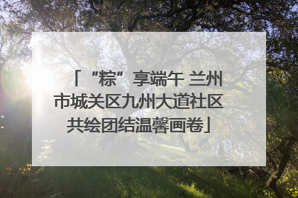 “粽”享端午 兰州市城关区九州大道社区共绘团结温馨画卷