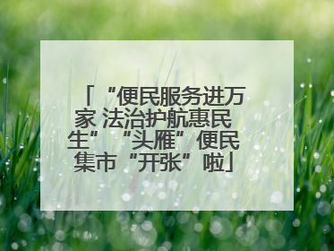 “便民服务进万家 法治护航惠民生”“头雁”便民集市“开张”啦