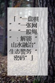 “一盘棋”“一张网”“一股绳”：解锁“山水融治”生态警务“密码”