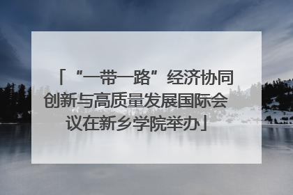 “一带一路”经济协同创新与高质量发展国际会议在新乡学院举办