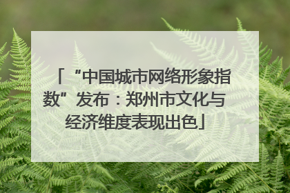 “中国城市网络形象指数”发布：郑州市文化与经济维度表现出色