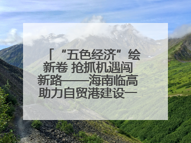 “五色经济”绘新卷 抢抓机遇闯新路——海南临高助力自贸港建设一线见闻