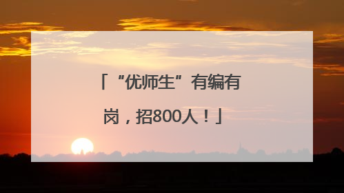 “优师生”有编有岗，招800人！