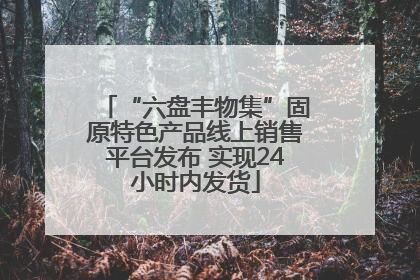 “六盘丰物集”固原特色产品线上销售平台发布 实现24小时内发货
