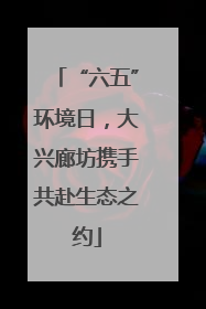 “六五”环境日，大兴廊坊携手共赴生态之约