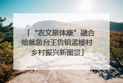 “农文旅体康”融合绘就鱼台王鲁镇孟楼村乡村振兴新图景