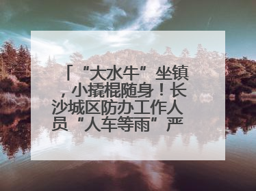 “大水牛”坐镇，小撬棍随身！长沙城区防办工作人员“人车等雨”严阵以待