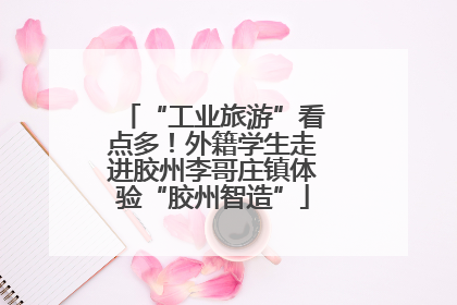 “工业旅游”看点多！外籍学生走进胶州李哥庄镇体验“胶州智造”