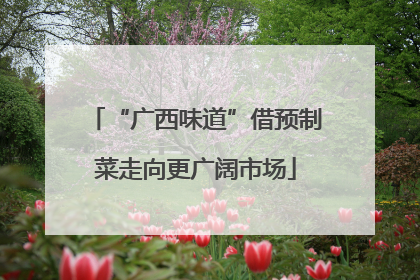 “广西味道”借预制菜走向更广阔市场