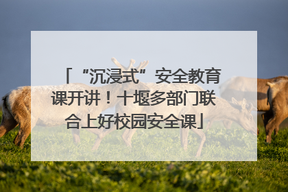 “沉浸式”安全教育课开讲！十堰多部门联合上好校园安全课