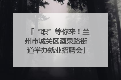 “职”等你来！兰州市城关区酒泉路街道举办就业招聘会