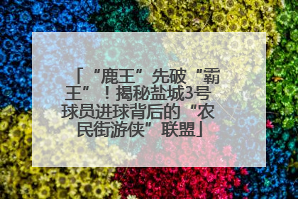 “鹿王”先破“霸王”！揭秘盐城3号球员进球背后的“农民街游侠”联盟