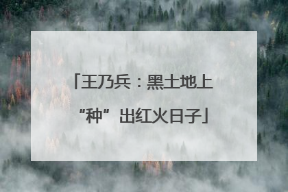 王乃兵：黑土地上“种”出红火日子