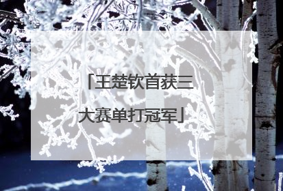 王楚钦首获三大赛单打冠军