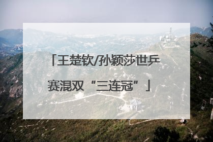 王楚钦/孙颖莎世乒赛混双“三连冠”