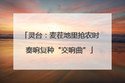 灵台：麦茬地里抢农时 奏响复种“交响曲”