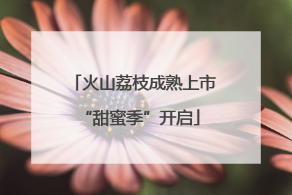 火山荔枝成熟上市 “甜蜜季”开启