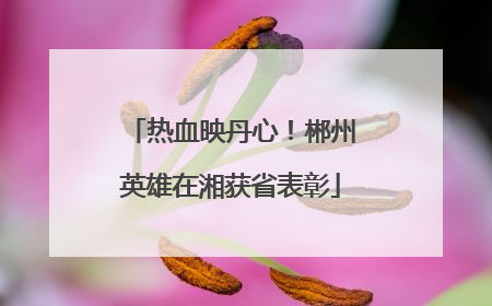 热血映丹心！郴州英雄在湘获省表彰