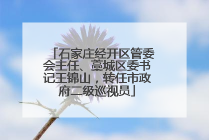 石家庄经开区管委会主任、藁城区委书记王锦山，转任市政府二级巡视员