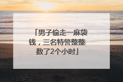 男子偷走一麻袋钱，三名特警整整数了2个小时