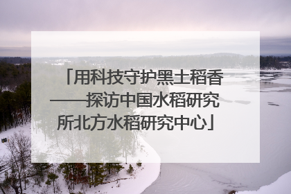 用科技守护黑土稻香——探访中国水稻研究所北方水稻研究中心