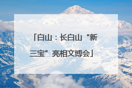 白山：长白山“新三宝”亮相文博会