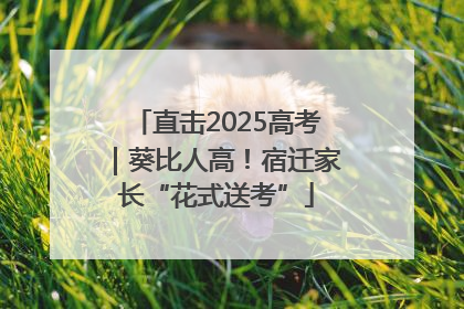 直击2025高考｜葵比人高！宿迁家长“花式送考”