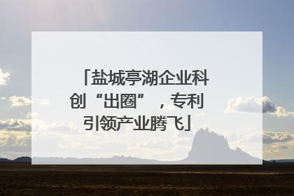 盐城亭湖企业科创“出圈”，专利引领产业腾飞