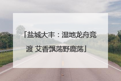 盐城大丰：湿地龙舟竞渡 艾香飘荡野鹿荡