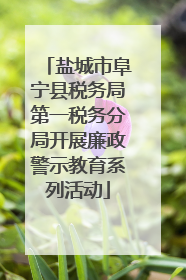 盐城市阜宁县税务局第一税务分局开展廉政警示教育系列活动