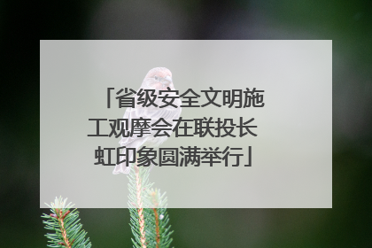 省级安全文明施工观摩会在联投长虹印象圆满举行