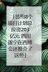 签约8个项目计划总投资203亿元 四川遂宁在西博会还推介了这些