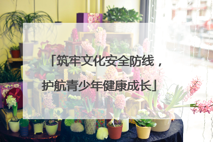 筑牢文化安全防线，护航青少年健康成长