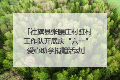 社旗县张腰庄村驻村工作队开展庆“六一”爱心助学捐赠活动