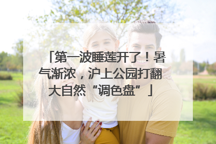 第一波睡莲开了！暑气渐浓，沪上公园打翻大自然“调色盘”