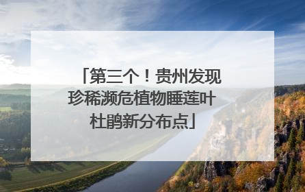 第三个！贵州发现珍稀濒危植物睡莲叶杜鹃新分布点