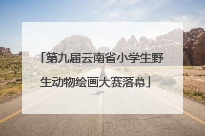 第九届云南省小学生野生动物绘画大赛落幕
