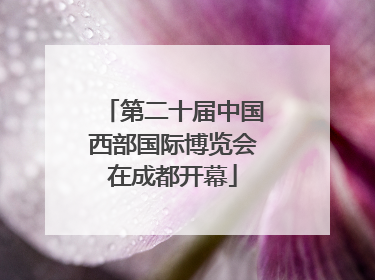 第二十届中国西部国际博览会在成都开幕