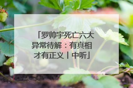 罗帅宇死亡六大异常待解：有真相才有正义丨中听