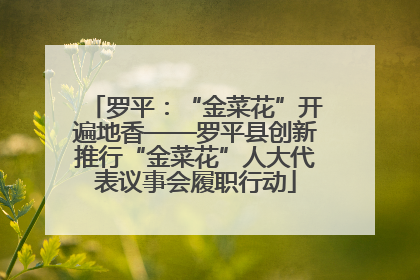 罗平：“金菜花”开遍地香——罗平县创新推行“金菜花”人大代表议事会履职行动