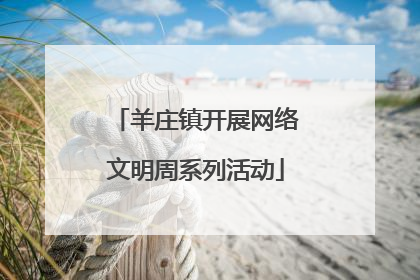 羊庄镇开展网络文明周系列活动