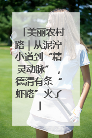 美丽农村路｜从泥泞小道到“精灵动脉”，德清有条“虾路”火了