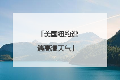 美国纽约遭遇高温天气