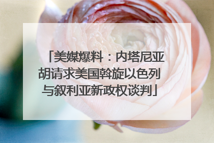 美媒爆料：内塔尼亚胡请求美国斡旋以色列与叙利亚新政权谈判