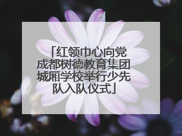 红领巾心向党 成都树德教育集团城厢学校举行少先队入队仪式