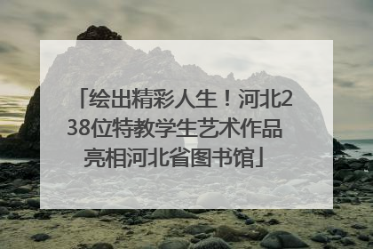 绘出精彩人生！河北238位特教学生艺术作品亮相河北省图书馆