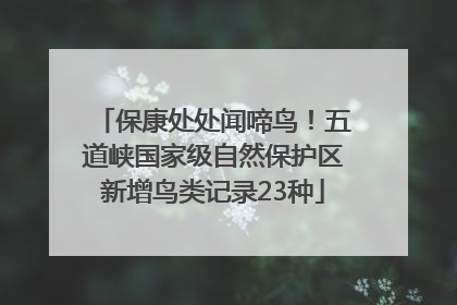 保康处处闻啼鸟！五道峡国家级自然保护区新增鸟类记录23种