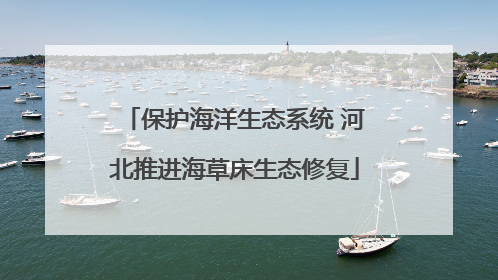 保护海洋生态系统 河北推进海草床生态修复
